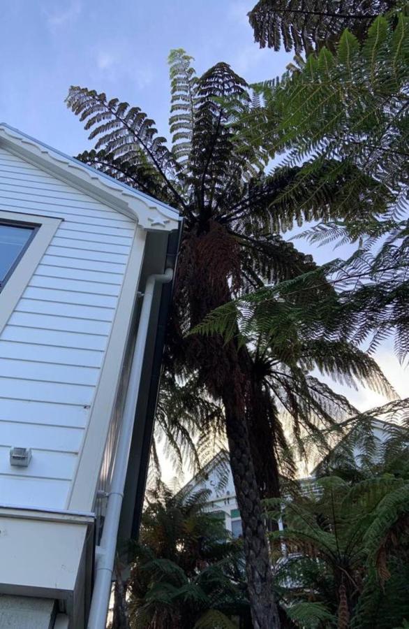 Tiny House In The Sky Hotel Dunedin Kültér fotó